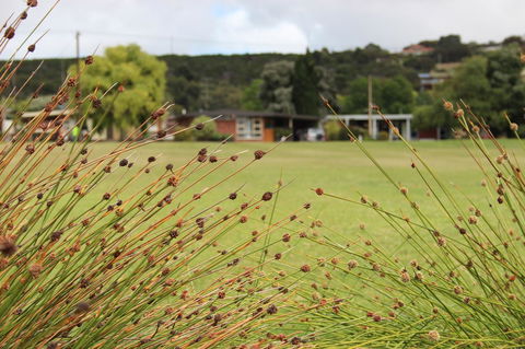 My Port Lincoln Place - Australian Directory 14