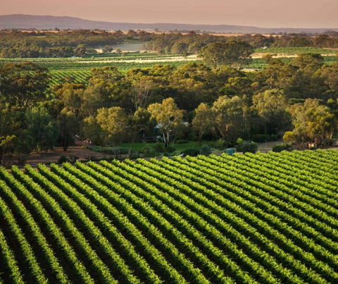 The Reserve Barossa Valley - Australian Directory 1