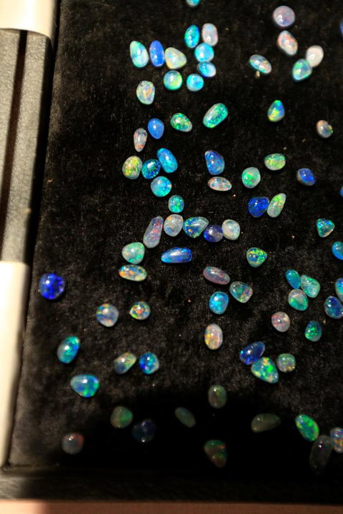 Venushill B+B - Australian Directory 6