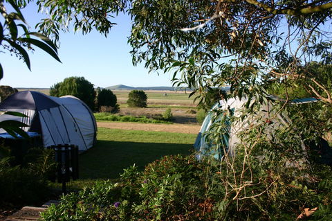 Millicent Hillview Caravan Park - Australian Directory 43