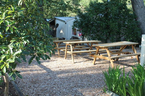 Millicent Hillview Caravan Park - Australian Directory 9