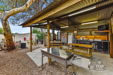 Millicent Hillview Caravan Park - Australian Directory 20