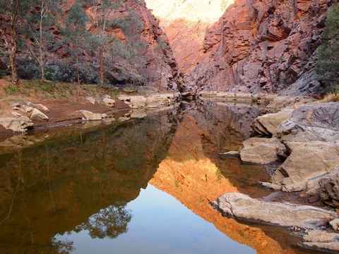 Arkaroola Wilderness Sanctuary - Australian Directory 6