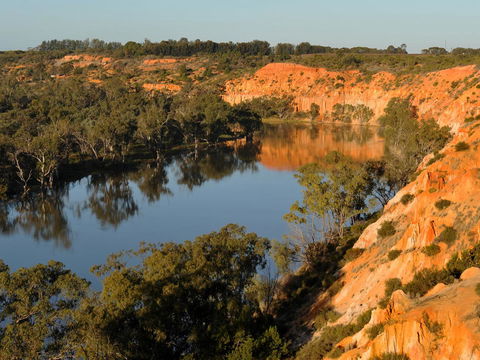 Riverbend Caravan Park Renmark - Australian Directory 11