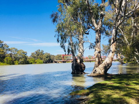 Riverbend Caravan Park Renmark - Australian Directory 5