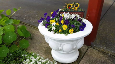 Addies Place Goolwa - Australian Directory 10