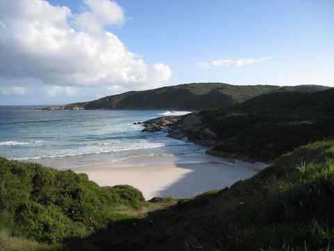 Best Western Albany Motel & Apartments - Australian Directory 23