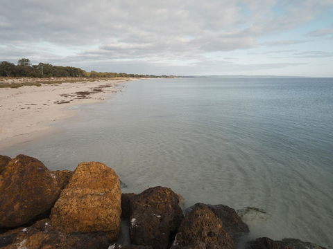 FortyOne - Oceanside Retreat Busselton - Australian Directory 1