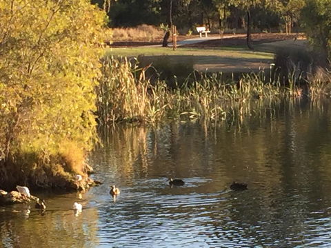Lakeside Views - Australian Directory 15