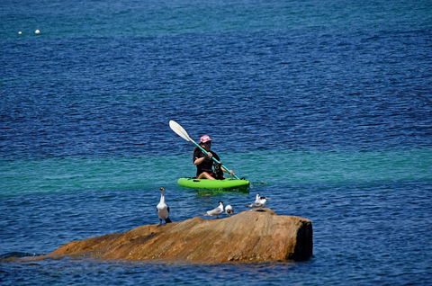 Sandpiper Retreat - Australian Directory 29