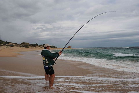 Mandurah Beach Front Apartment - Australian Directory 6