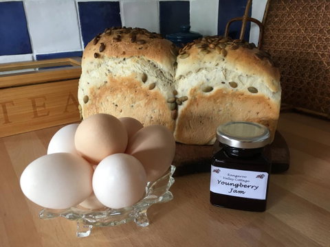 Kangaroo Valley Cottage - Australian Directory 14