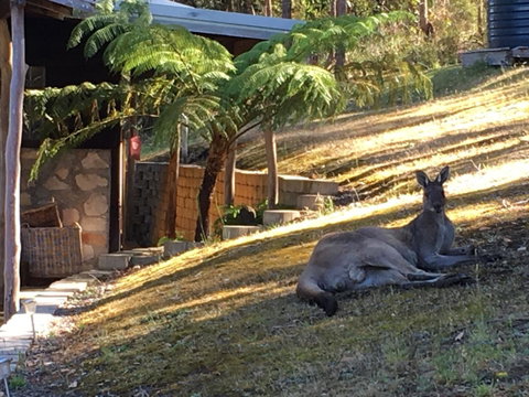 Kangaroo Valley Cottage - Australian Directory 3