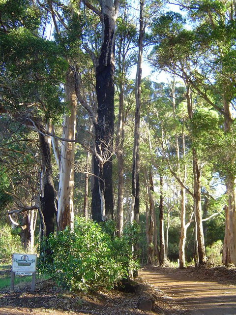 Kangaroo Valley Cottage - Australian Directory 21