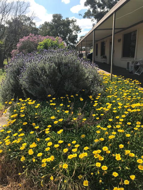 Cockburn Retreat Home æŸæ–¯æ‚ é–’æ°‘å®¿ - Australian Directory 3