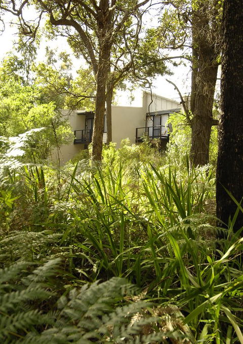 Margarets Forest - Australian Directory 41