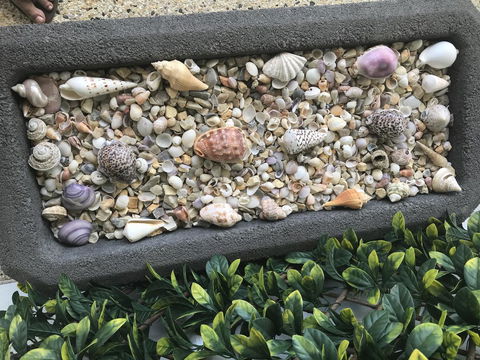 Beach House At SeaScapes.. - Australian Directory 27