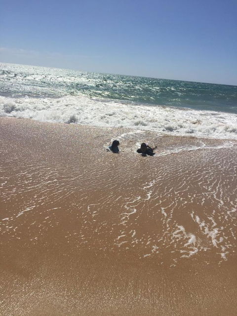 Beach House At SeaScapes.. - Australian Directory 30