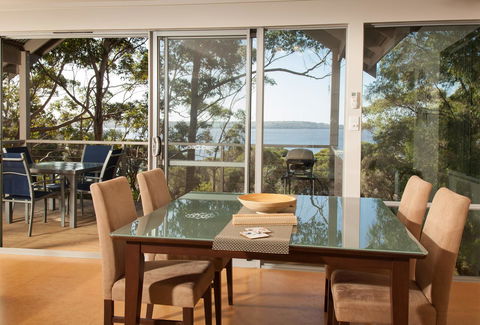 Pelicans At Denmark - Australian Directory 9