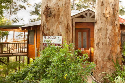 Pelicans At Denmark - Australian Directory 7