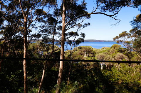 Pelicans At Denmark - Australian Directory 3