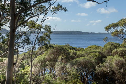 Pelicans At Denmark - Australian Directory 8