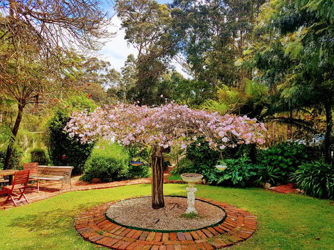 Adamsons Riverside Accommodation - Australian Directory 25