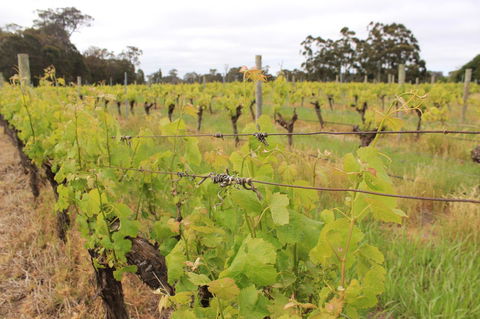 Sunset On Fearn - Australian Directory 24