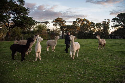 Celestine Retreat - Australian Directory 6