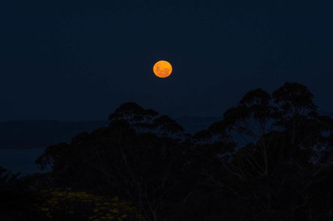 Celestine Retreat - Australian Directory 11