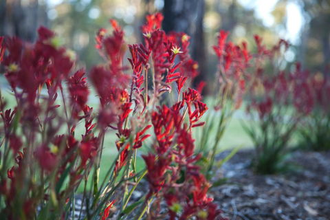 Amaroo Retreat & Spa - Australian Directory 16