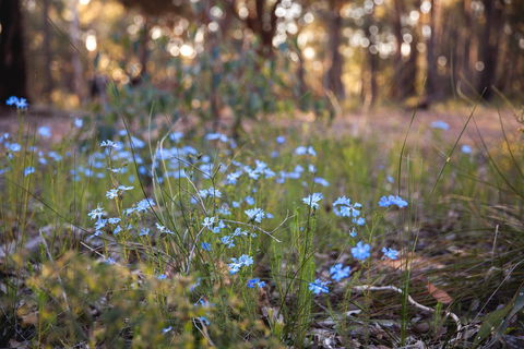 Amaroo Retreat & Spa - Australian Directory 15