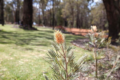 Amaroo Retreat & Spa - Australian Directory 19