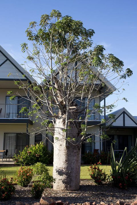 Freshwater East Kimberley Apartments - Australian Directory 18