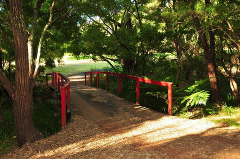 Waterfall Cottages - Australian Directory 17