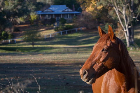 Historic Oakhill House Entire Estate - Australian Directory 9