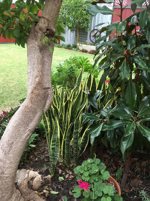 Bluebird Cottage - Australian Directory 30
