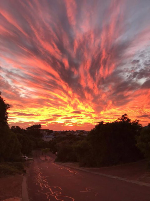 Zephyr Studio - Australian Directory 27