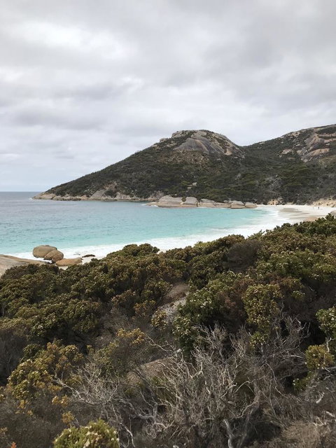 Zephyr Studio - Australian Directory 28