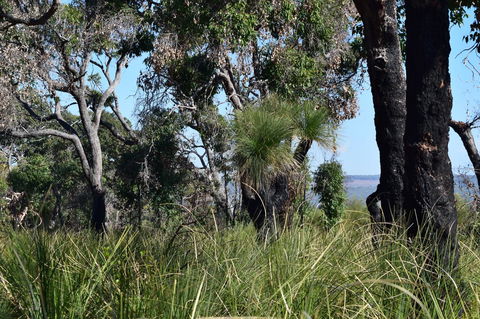Eagle Bay House - Australian Directory 32