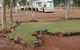 Meekatharra Accommodation Centre - thumb 15