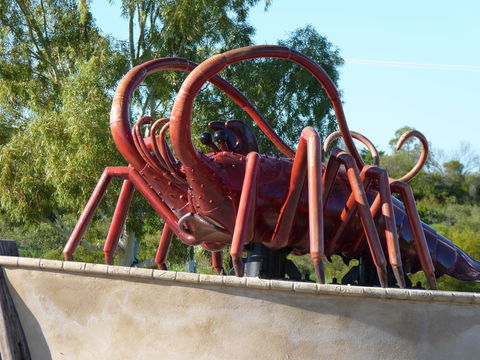 Leander Reef Holiday Park - Australian Directory 4