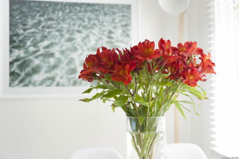 On The Beach Waterfront Apartment - Australian Directory 0