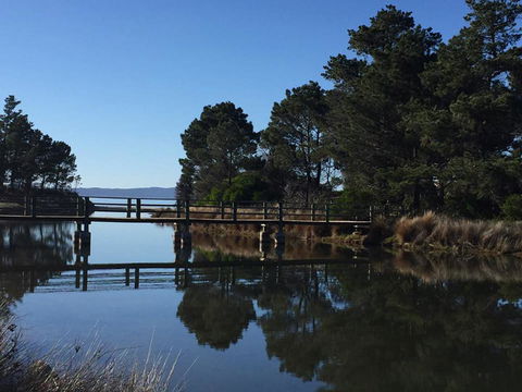 Swansea Holiday Park Tasmania - Australian Directory 41