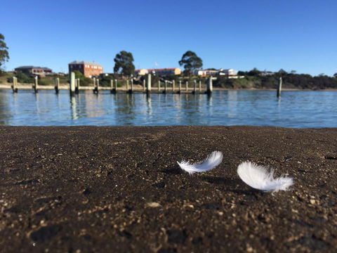 Swansea Holiday Park Tasmania - Australian Directory 39