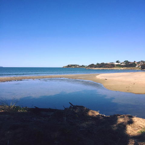 Swansea Holiday Park Tasmania - Australian Directory 14