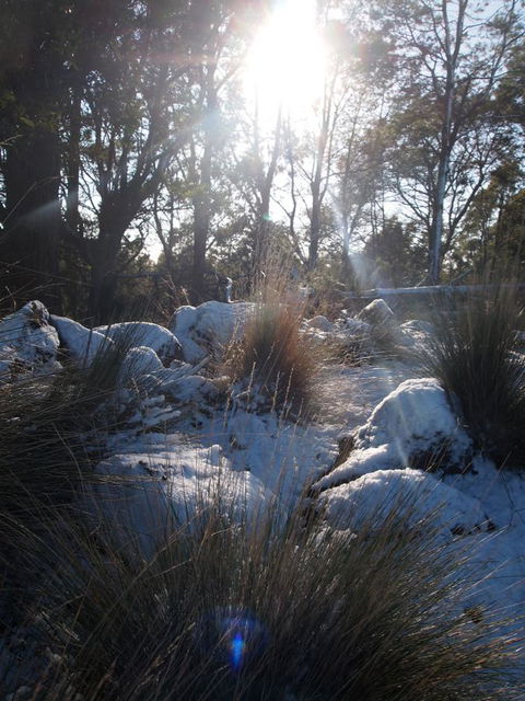 Erriba House - Australian Directory 9