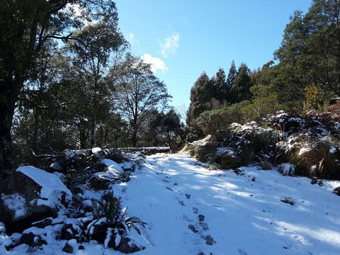 Erriba House - Australian Directory 4
