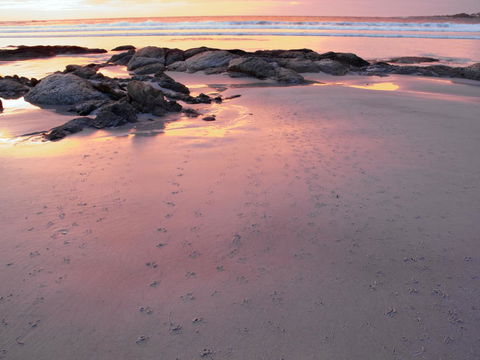 Beachend Bicheno - Australian Directory 2