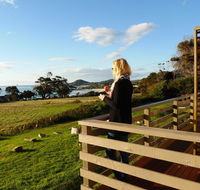 Beachend Bicheno - Australian Directory